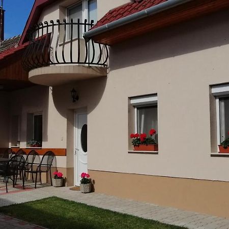 Radek Vendeghaz Es Apartman Halászi エクステリア 写真
