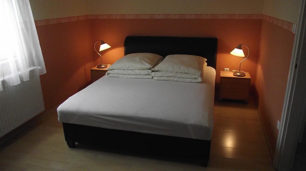 Radek Vendeghaz Es Apartman Halászi エクステリア 写真
